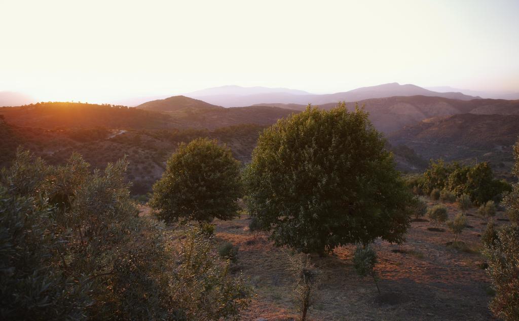 Gullu Konaklari Selçuk Exteriör bild